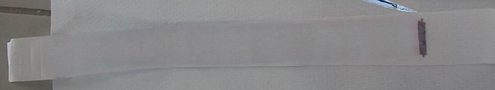 Carta Cromatografica Grado 1 - 50 Strisce, Per Esperimenti E Laboratorio